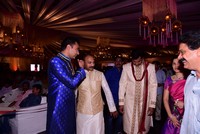 Stars and Celebrities at Allari Naresh Marriage Photos